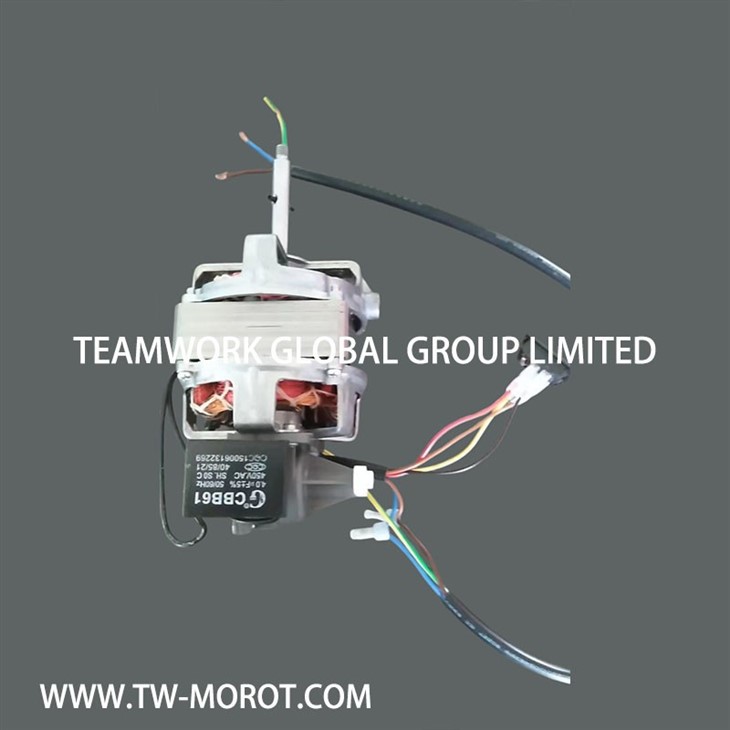 Dual Voltage Fan Motor