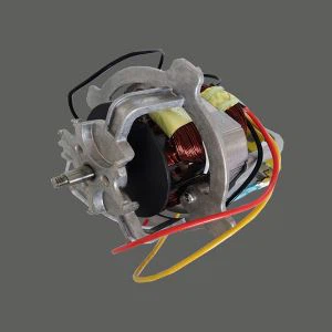 Електродвигун переробки їжі