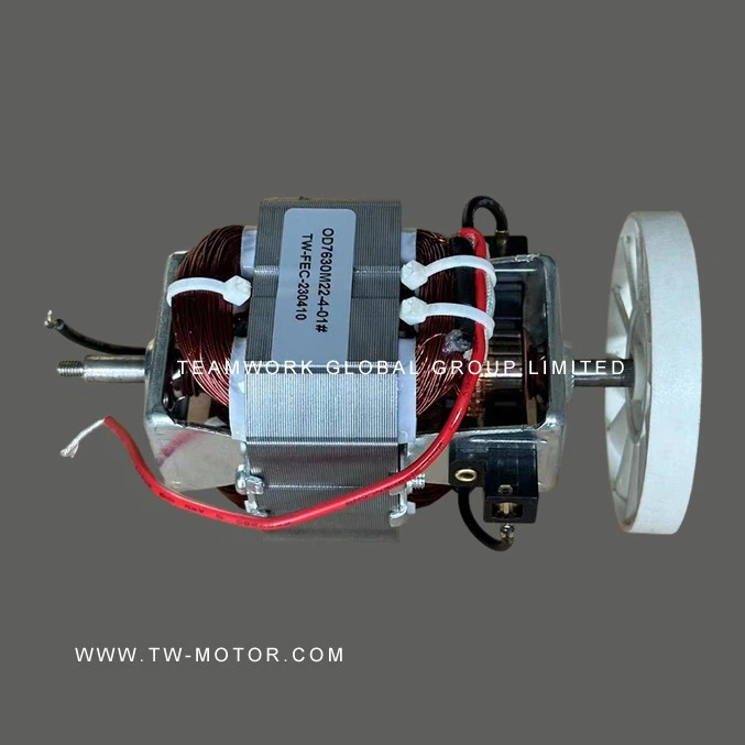High-Performance Juicer Motor